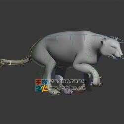 高精模貓科動(dòng)物 Max模型 不含貼圖