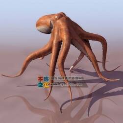 octopus 章魚(yú) 3DS模型