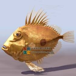 Fish 金色的魚3DS模型