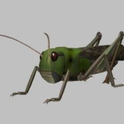Grasshopper 螞蚱3DS模型