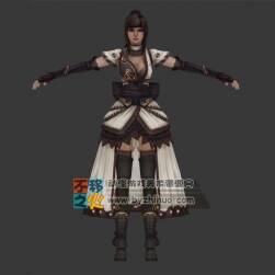女孩 侍衛(wèi) 俠客模型