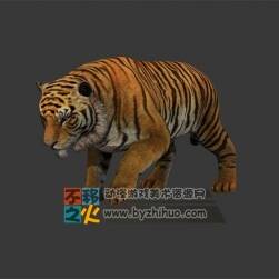 Tiger 老虎Max模型 含骨骼 貼圖 全套動作