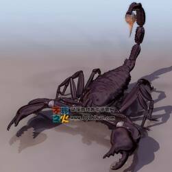 Scorpion 巨像的蝎子3DS模型