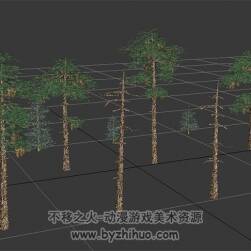 松樹3D模型合集