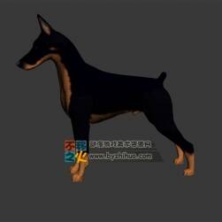 德國(guó)杜賓犬 Max模型