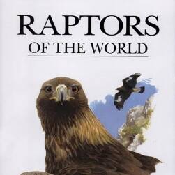 《Raptors of the World》世界猛禽圖鑒 貓頭鷹/獵鷹 繪畫參考素材