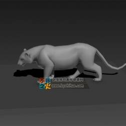 Tiger 老虎 Max模型 含全套動作