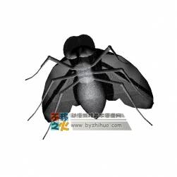 fly 簡化蒼蠅3DS模型