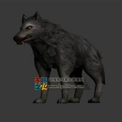 wolf 長著獠牙的黑狼 Max模型