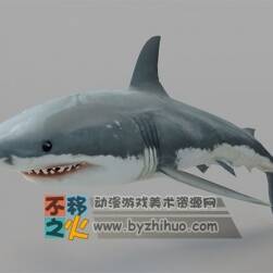 Shark Model 鯊魚3D模型