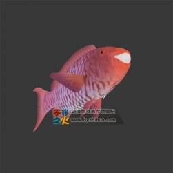 一群魚 3DS模型