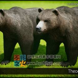 Unreal Engine 4 黑熊動畫模型 Animals - Bear