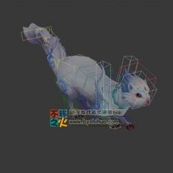 靈獸 雪貂 鼬 模型
