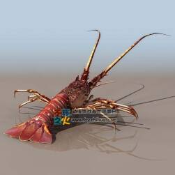 lobster 龍蝦4號(hào) 3DS模型