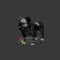 Dog 一只可愛(ài)的狗Max模型
