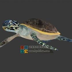 游動的海龜 MAX模型