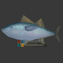 水族生物 魚 Max模型