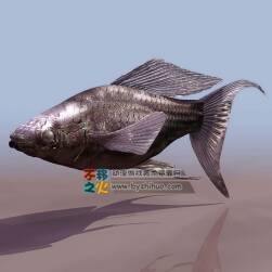 Fish 海魚3DS模型