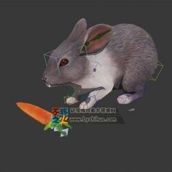 兔子 吃 胡蘿卜 模型