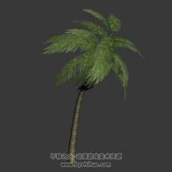 palm 棕櫚樹 3D模型