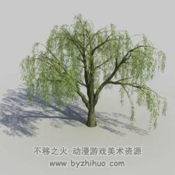柳樹3D模型