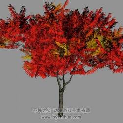紅葉樹 3D模型