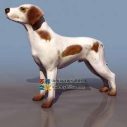 Dog 白色斑點(diǎn)狗 3DS模型