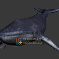 游動(dòng)的鯨魚 FBX模型