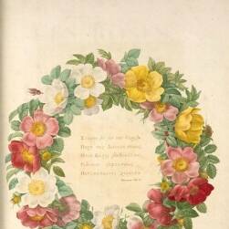 皮埃爾·約瑟夫·雷杜德 植物圖譜 10冊(cè)合集 Pierre Joseph Redoute