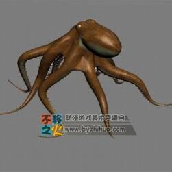 octopus 章魚(yú) Max模型
