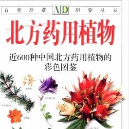 北方藥用植物：近600種中國北方藥用植物的彩色圖鑒 PDF下載
