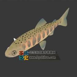 一條魚(yú) Max模型