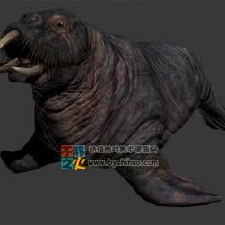 Seals 寫實(shí)的海豹Max模型