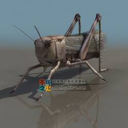 Grasshopper 蝗蟲3DS模型