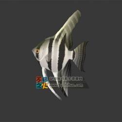 fish 熱帶魚 3D模型