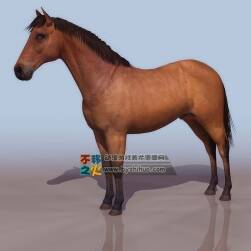 Horse 棕色的馬匹 3DS模型