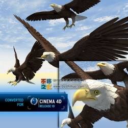 三只飛鷹 3D模型