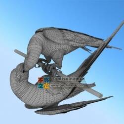 Parrot 兩只鸚鵡Max模型  不含貼圖