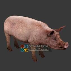 pig 豬 寫實游戲動物模型