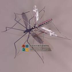 mosquito  蚊子3DS模型