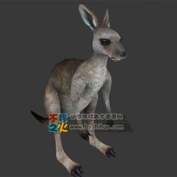 動(dòng)物園之袋鼠 Max模型 四邊面