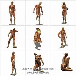 1439張 肌肉人體動(dòng)態(tài)圖 人體動(dòng)作形態(tài)姿勢(shì)各角度參考素材