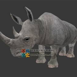動物園之犀牛 Max模型 四邊面
