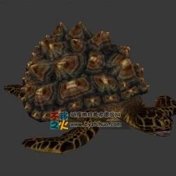 海龜 3D游戲模型