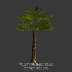 棕櫚樹 游戲植物模型