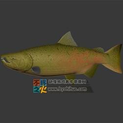 好多魚來(lái)襲！ fish 3DS魚模型