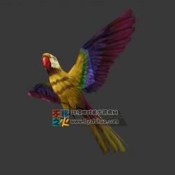 簡(jiǎn)化版 彩色小鸚鵡 Max模型