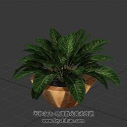 盆景 3D模型