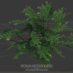 tree 樹 游戲模型