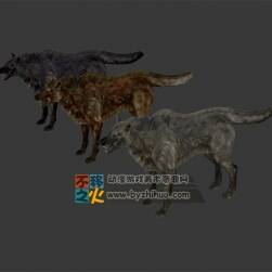 三匹不同顏色的狼模型